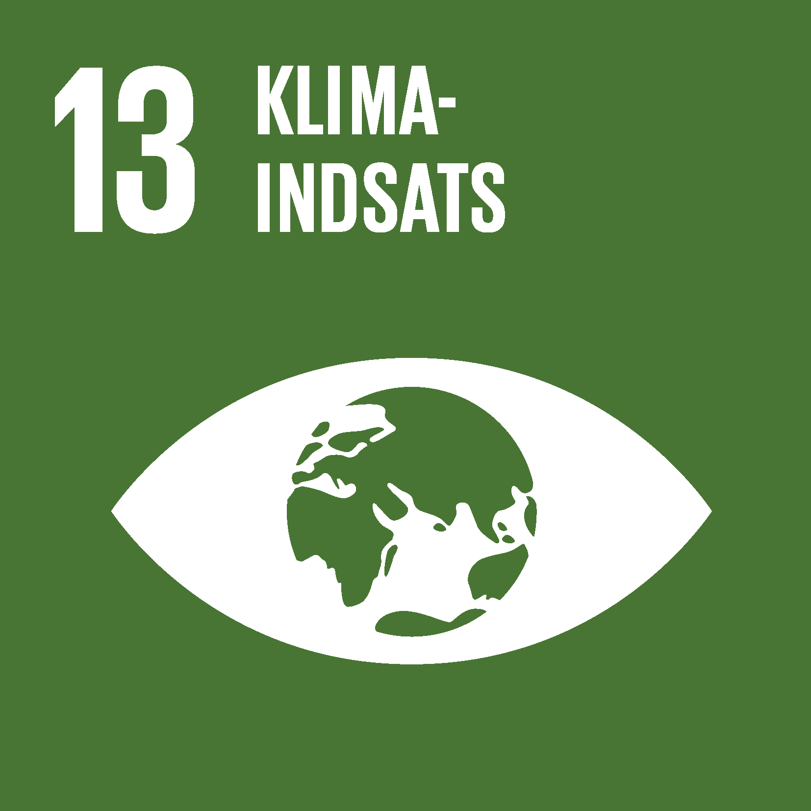 FN's verdensmål 13: Klimaindsats